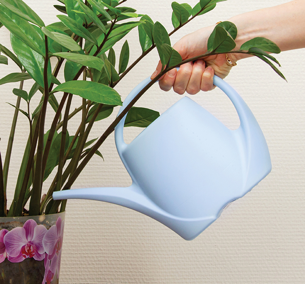Лейка 1,5л Микс (разноцветный) для комнатный растений