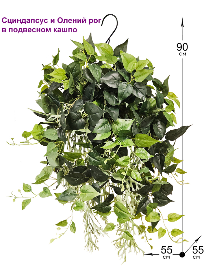 Искусственное растение Сциндапсус и Олений рог в подвесном кашпо