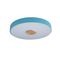 Потолочный светодиодный светильник Loft IT Axel 10003/24 blue