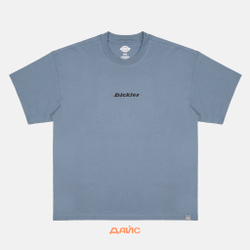 Футболка мужская Dickies Enterprise