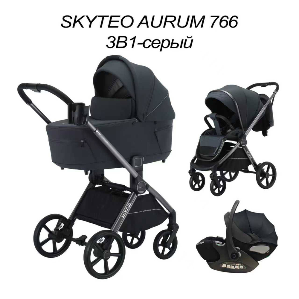 Коляска 2 в 1 SKYTEO AURUM