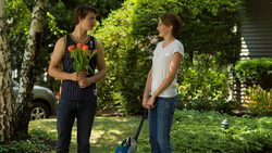 Виноваты звезды