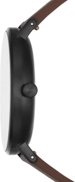 Мужские наручные часы Skagen SKW6728