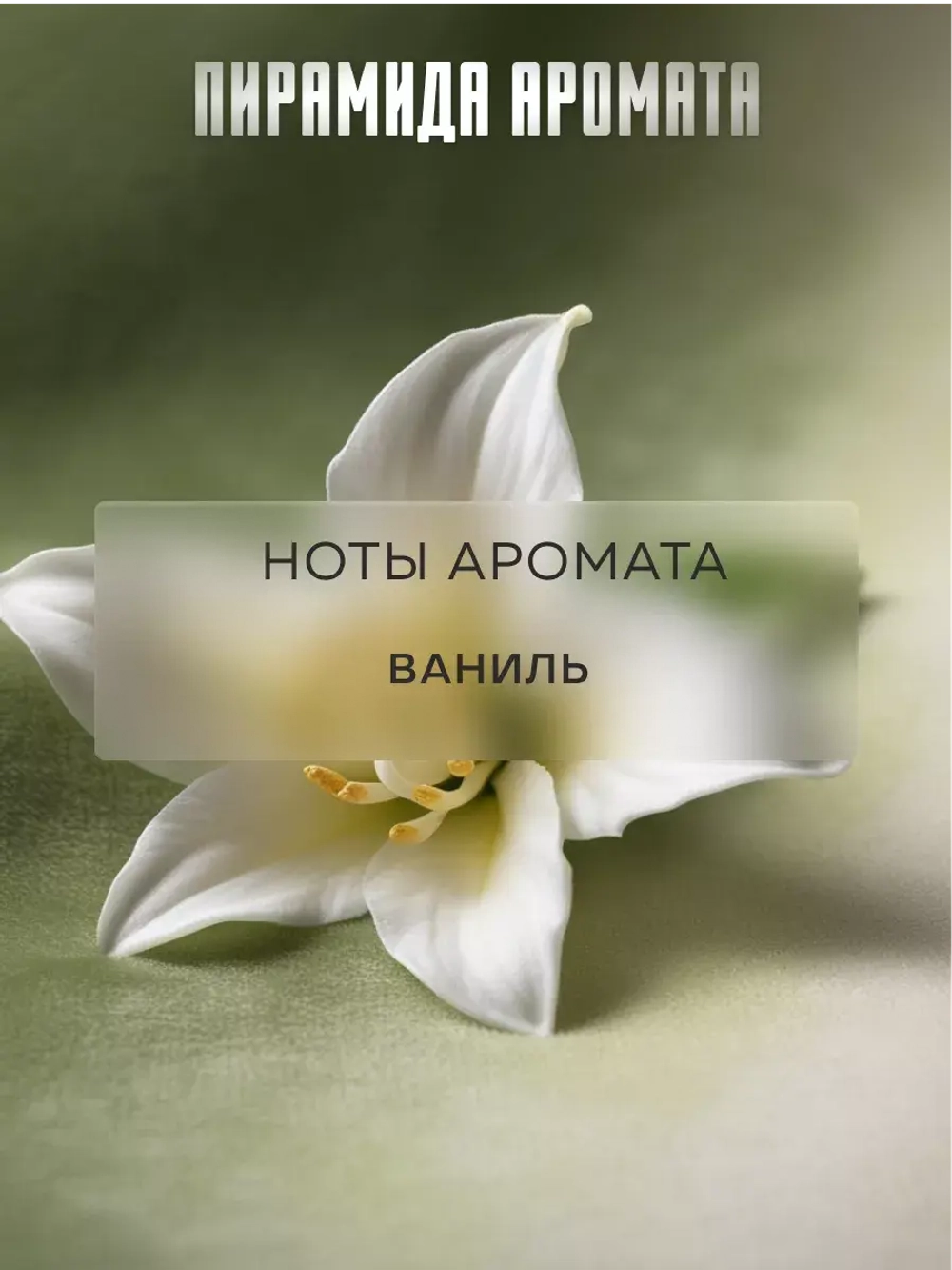 Отдушка Prof-Royal Ambre & Vanille, для свечей, мыла, диффузоров, ваниль, 10мл