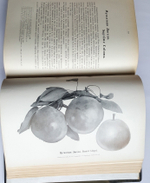 "Крымское промышленное плодоводство". Л.П. Симиренко. 0г. - редкая книга