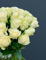 Розы белые 51 шт