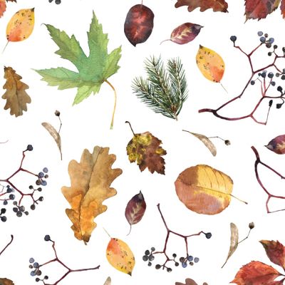 Осенние листья