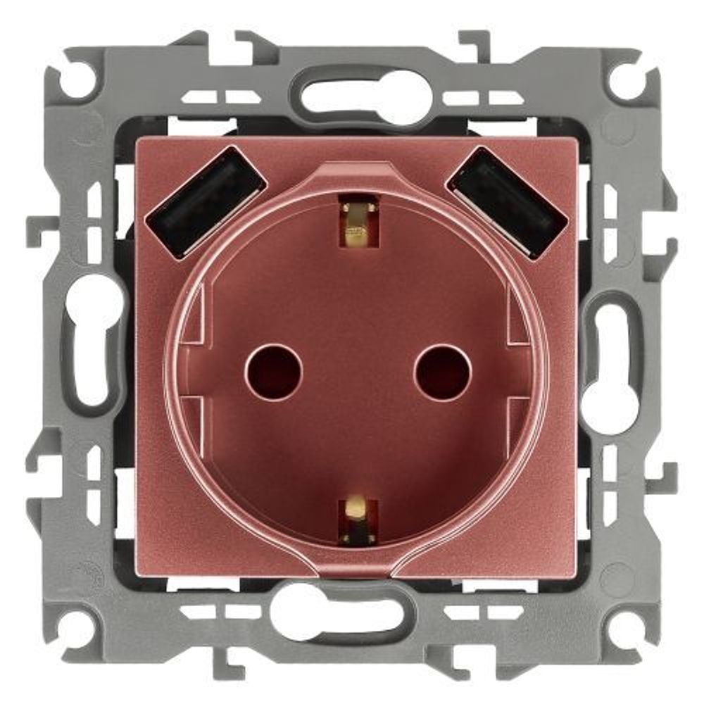 Розетка 16А 250В 2P+E с 2хUSB 5В-3А защ. шторки Эра12 медь 12-4109-14 ЭРА Б0047848
