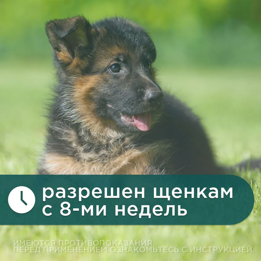 Капли против блох и клещей АВЗ БАРС для собак 4 пипетки/1,4 мл