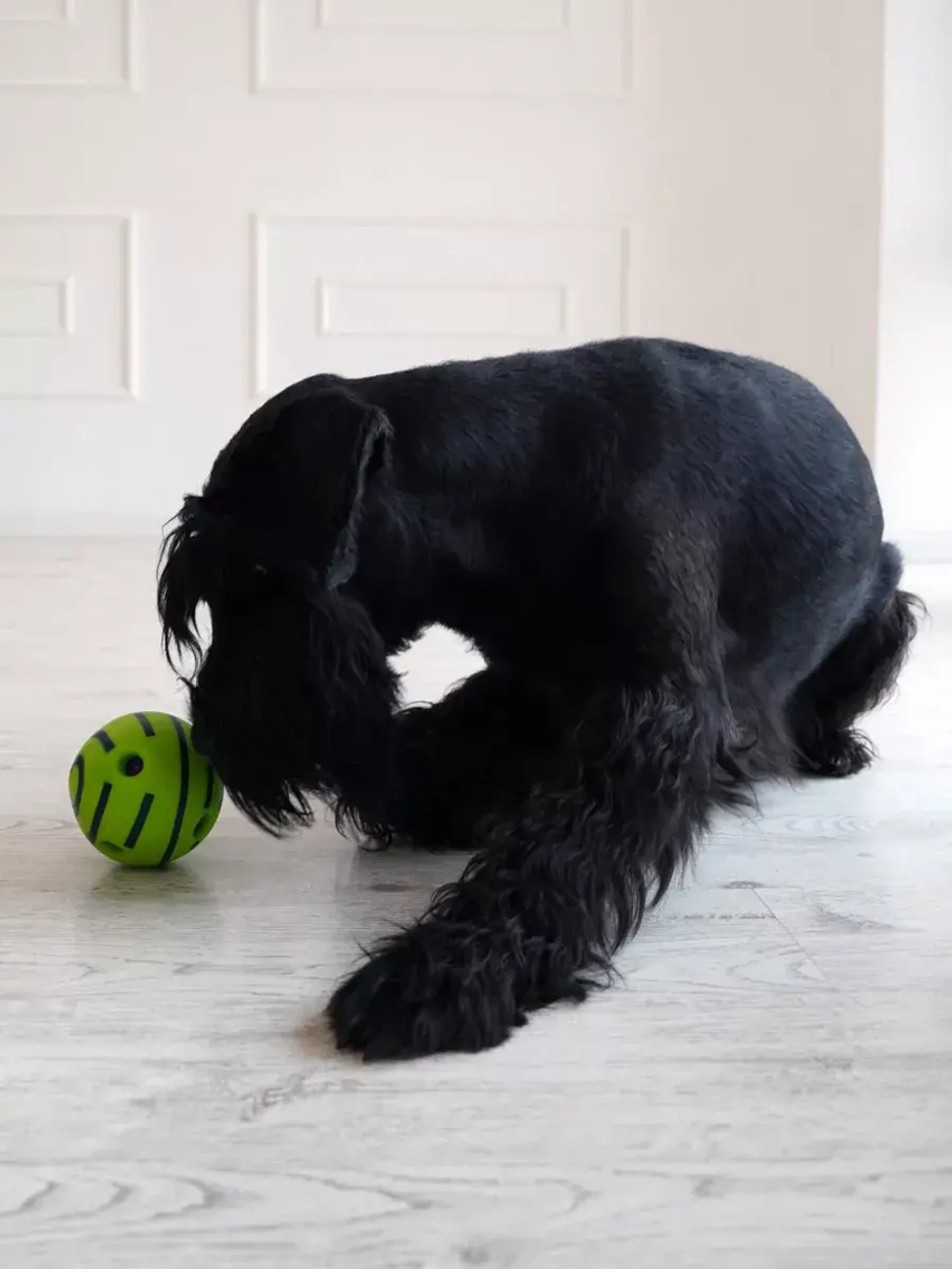 Игрушка Мяч для собак суперпрочный 14 см