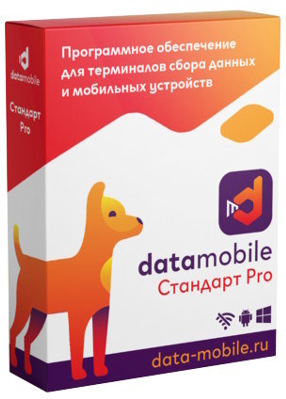 ПО  DataMobile DMPro12m