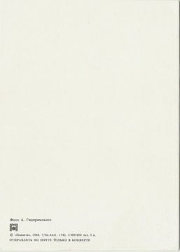 Открытка (почтовое вложение) "С днем рождения" фото. А. Гидиримского