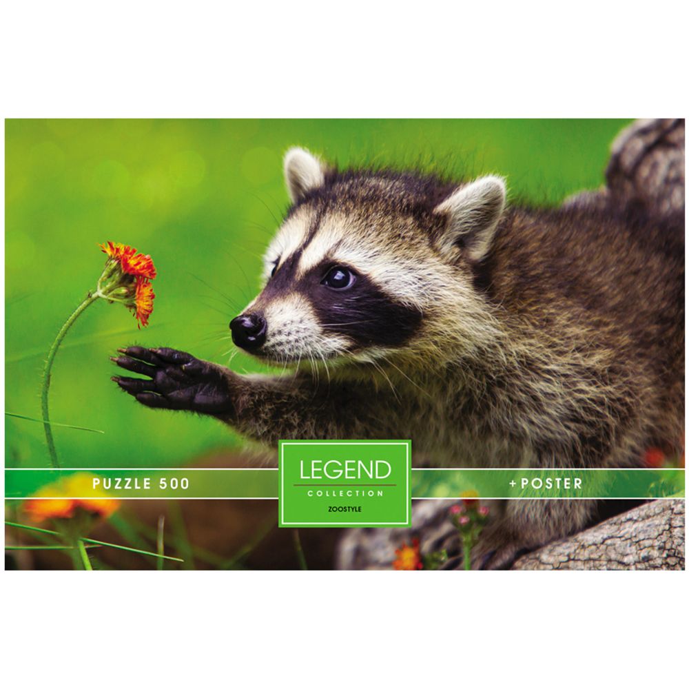 Пазл  500 эл. Hatber Premium "Legend Art Series. Любопытный енот", подарочная коробка + Постер