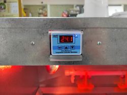 Брудер из оцинкованной стали на 70 цыплят