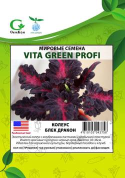 Колеус Блек Дракон (50шт) Витагрин Профи