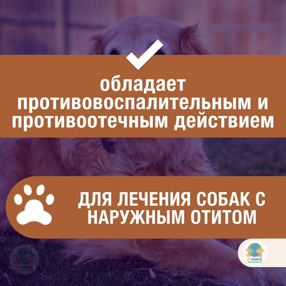 Elanco, Нептра раствор для лечения наружного отита у собак, 2 тюбика по 1 мл. Флорфеникол.