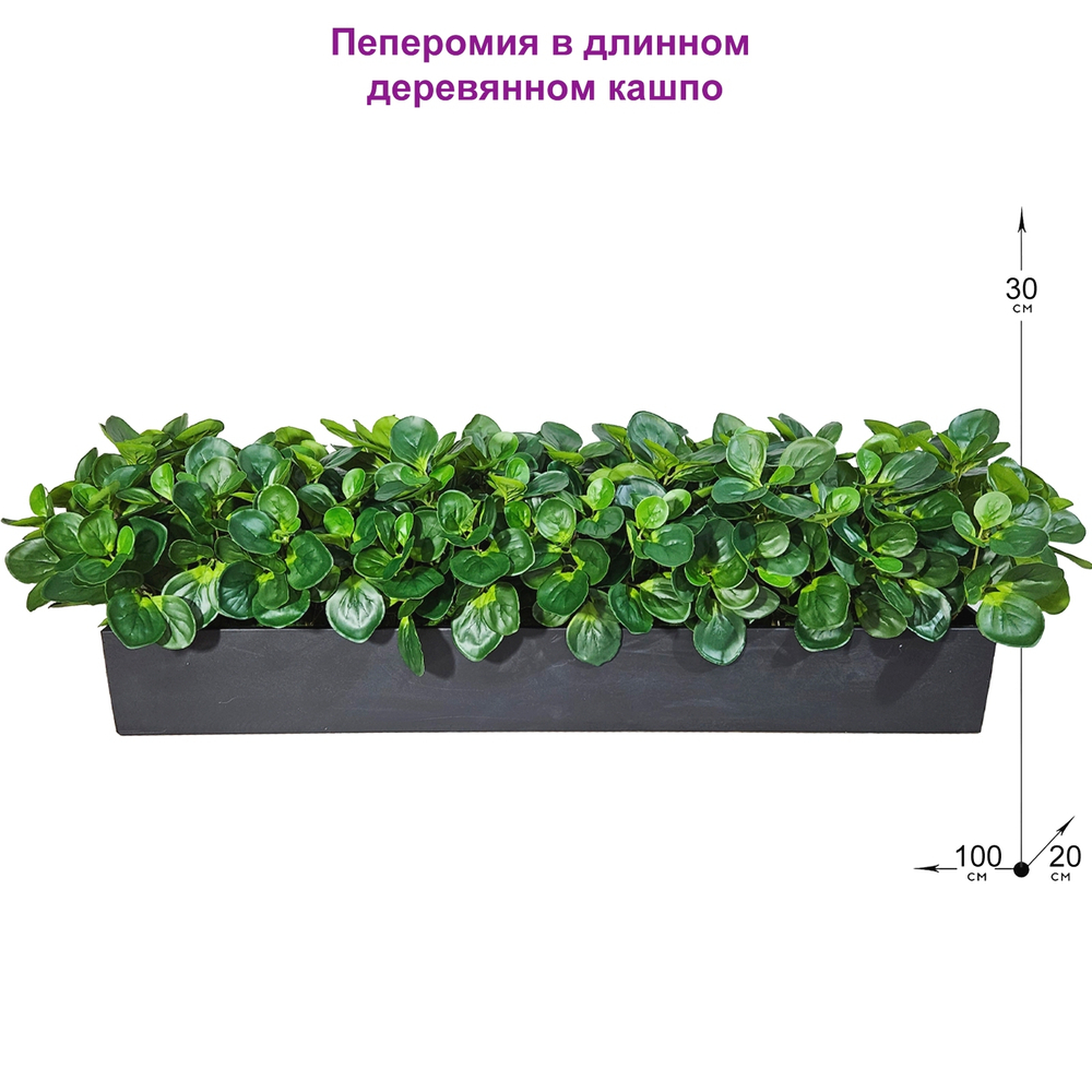 Пеперомия искусственная в длинном деревянном ящике