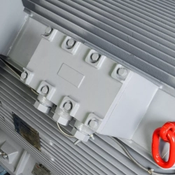 Электродвигатель ESQ M 400-SDN 6,0-315/1500-EP-C IP55 (SG) 315/1500 IM1001