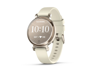 Garmin Lily