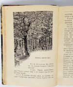 "Природа в лесу и поле". К. Крепелин. 1903г. - антикварное издание