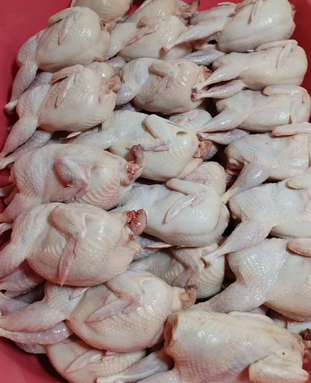 Перепела (тушка) VIP