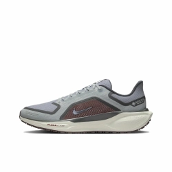 Мужские кроссовки Nike Air Zoom Pegasus 41 Gore-Tex 'Light Pumice Ashen Slate Burgundy' FQ1356-003