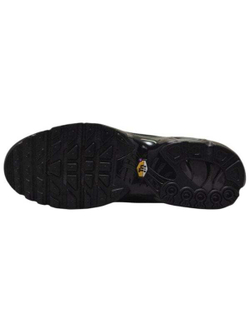 Кроссовки Nike Air Max Plus Premium Paris