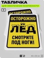Табличка для обеспечения безопасности "Осторожно, лёд, смотрите под ноги", для офиса, по охране труда для предприятия, организаций, 40х30 см, Silver Plane x Айдентика Технолоджи