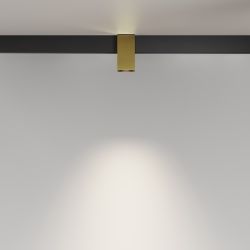 Трековый магнитный светодиодный светильник Maytoni   TR121-2-7W4K-BS