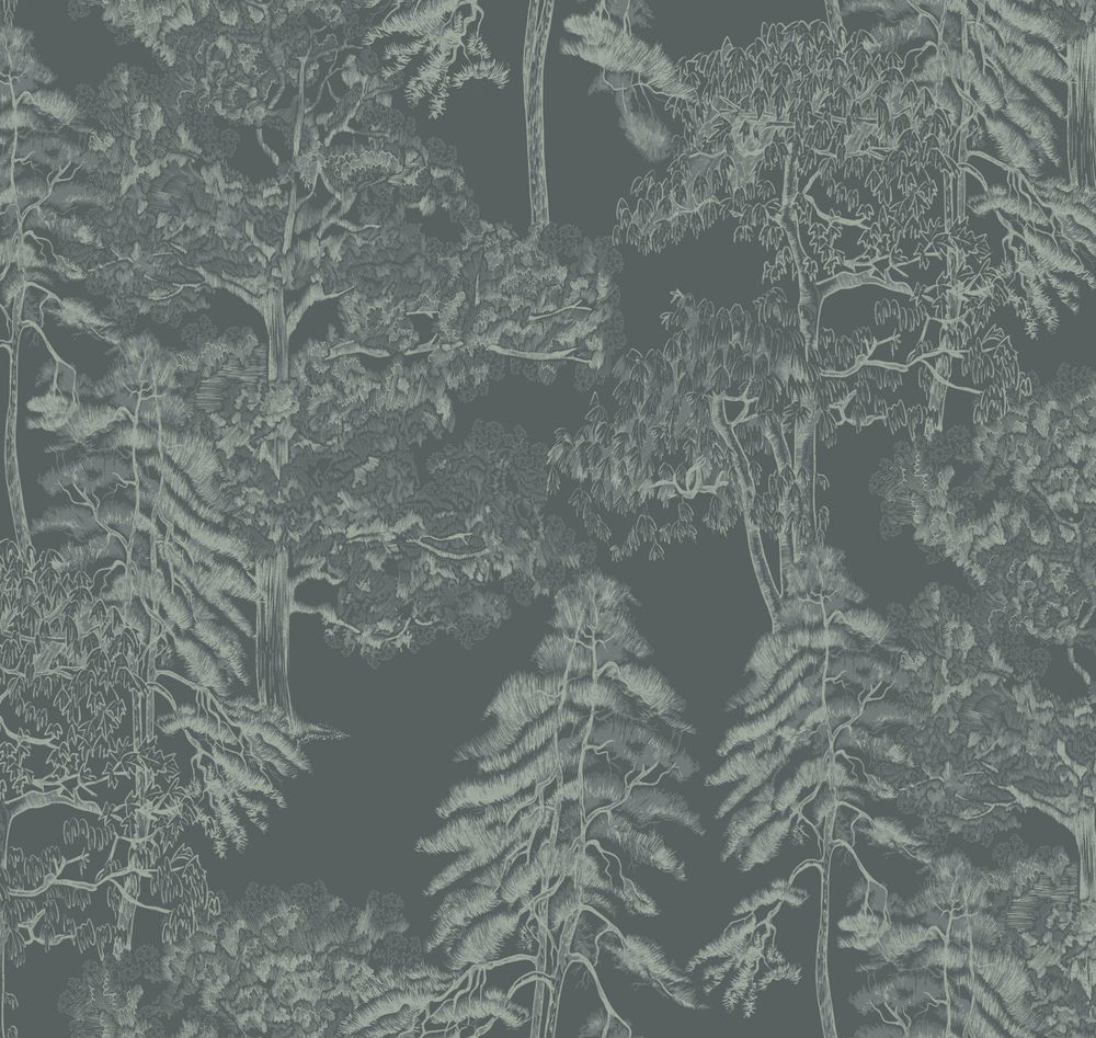 Ambient vol4 Лесной этюд