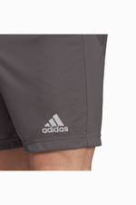 Шорты adidas Entrada 22