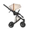 Коляска ANEX e/type 2 в 1 (et-SE04) joy