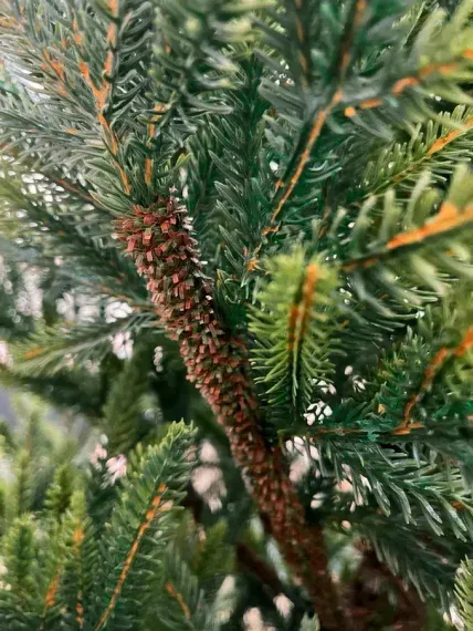 Искусственная ель Королевская стройная зеленая 155 см., 100% литая, TDL (70026)