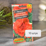 БЕГОНИЯ Америгибрид мандарин оранж Аэлита Ц (10шт)