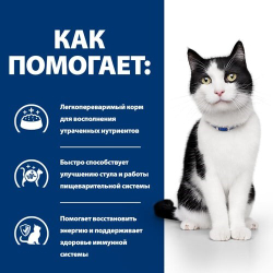 Hill's Feline i/d Salmon 85 г - диета консервы (пауч) для кошек с проблемами ЖКТ (лосось) 3409LN