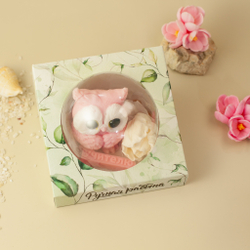 Набор "Мудрый совенок"