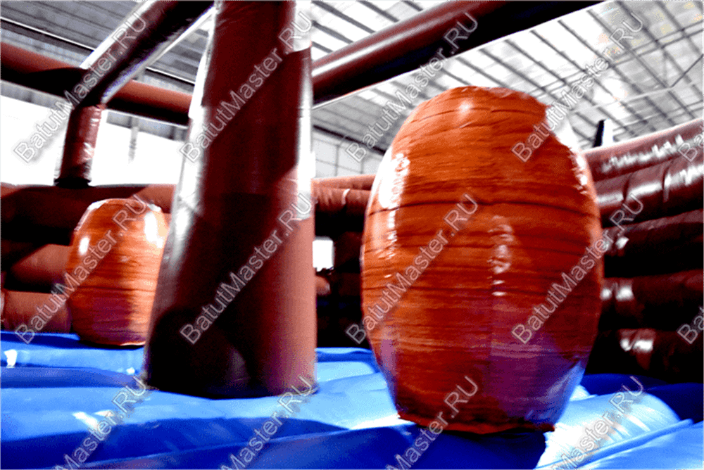 Надувной корабль "Весёлый Роджер Brown"