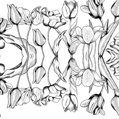 Тюльпаны клумба зеркальные черные на белом фоне