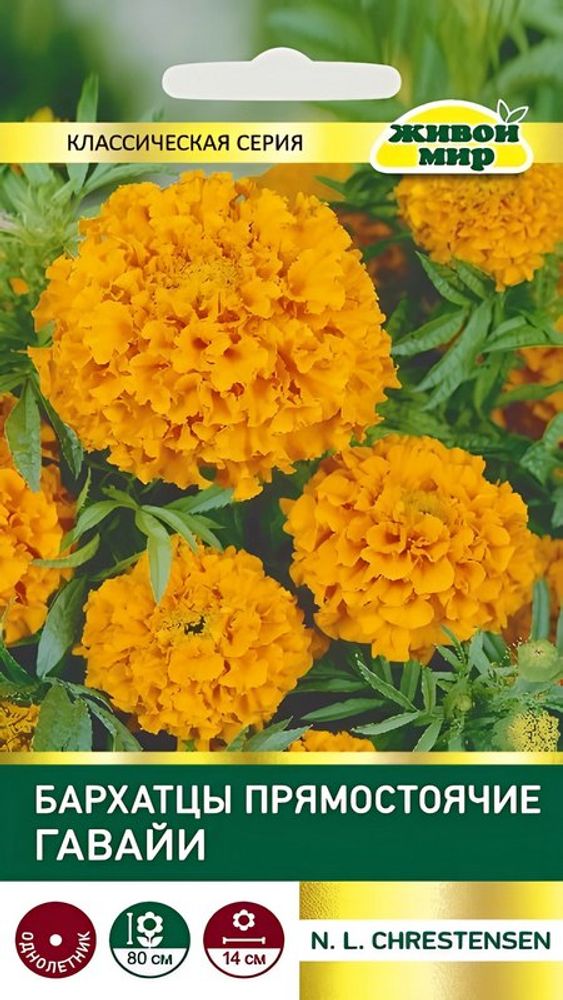 Бapxaтцы "ЖМ. Гaвaйи" 1г., Германия.