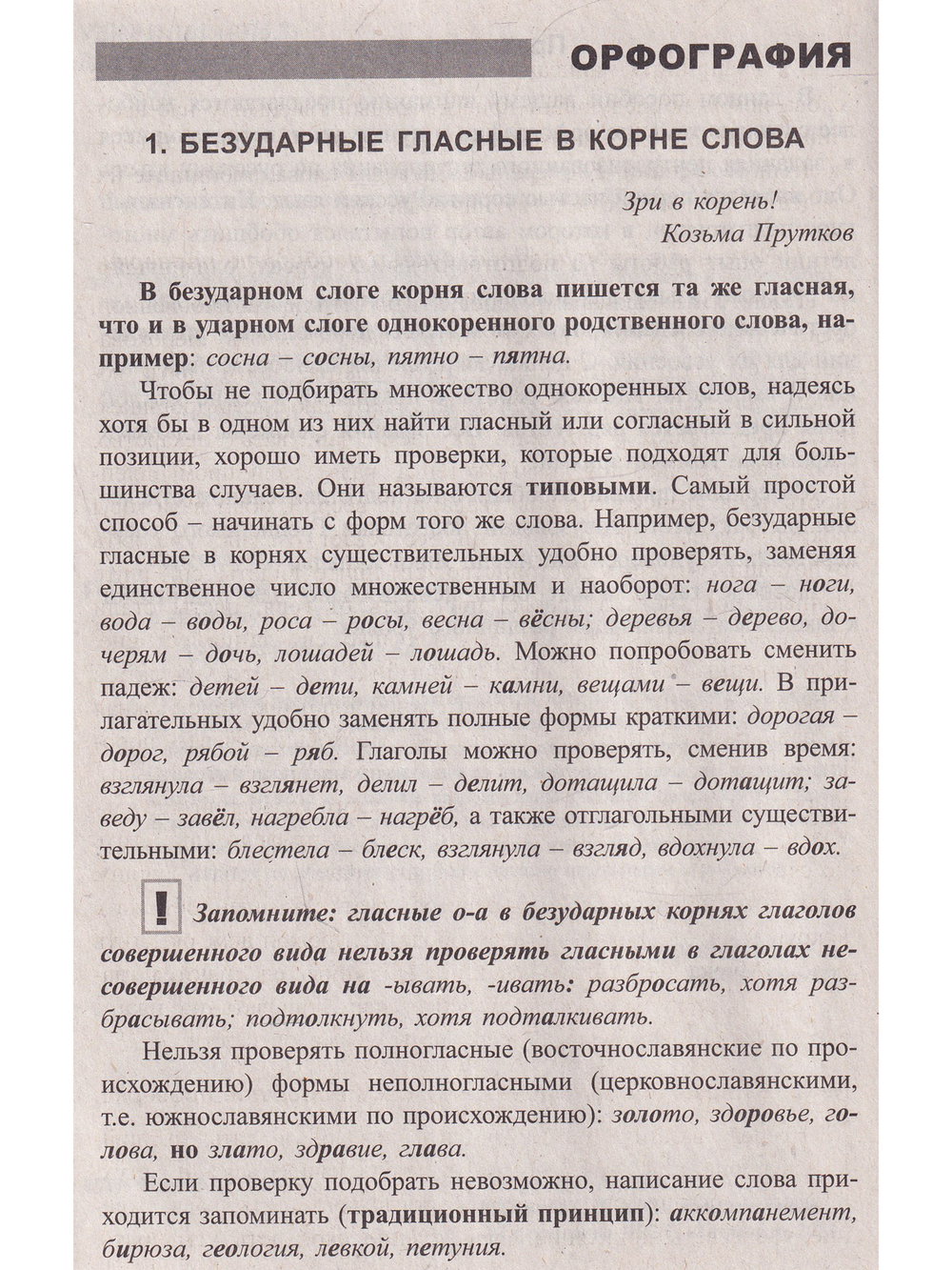 Русский язык. Интенсивный курс подготовки к тестированию и экзамену. 2-е издание, исправленное