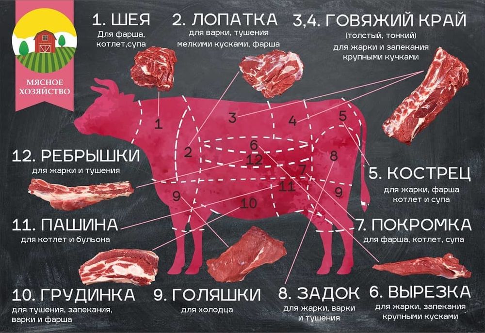 дизайн логотипа, фирменный стиль в Тамбове