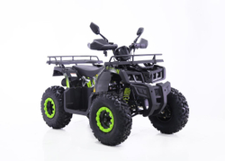 Квадроцикл YACOTA WARRIOR 200 PRO