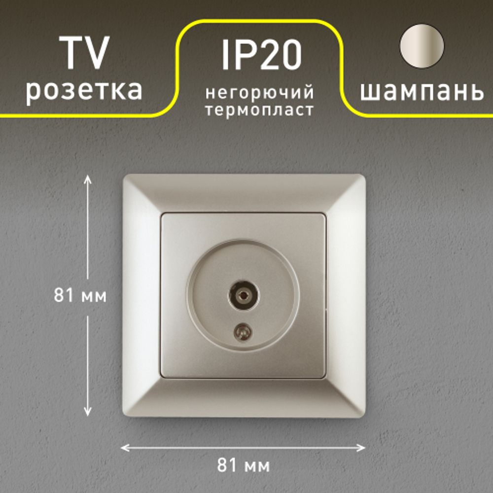 Розетка Intro Solo 4-301-04 TV одиночная, СУ, шампань