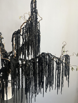 Амарант стабилизированный черный