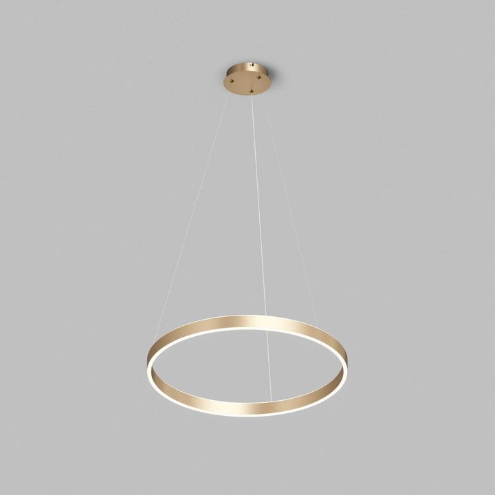 Подвесной светодиодный светильник Denkirs Raydia DK6273-SG