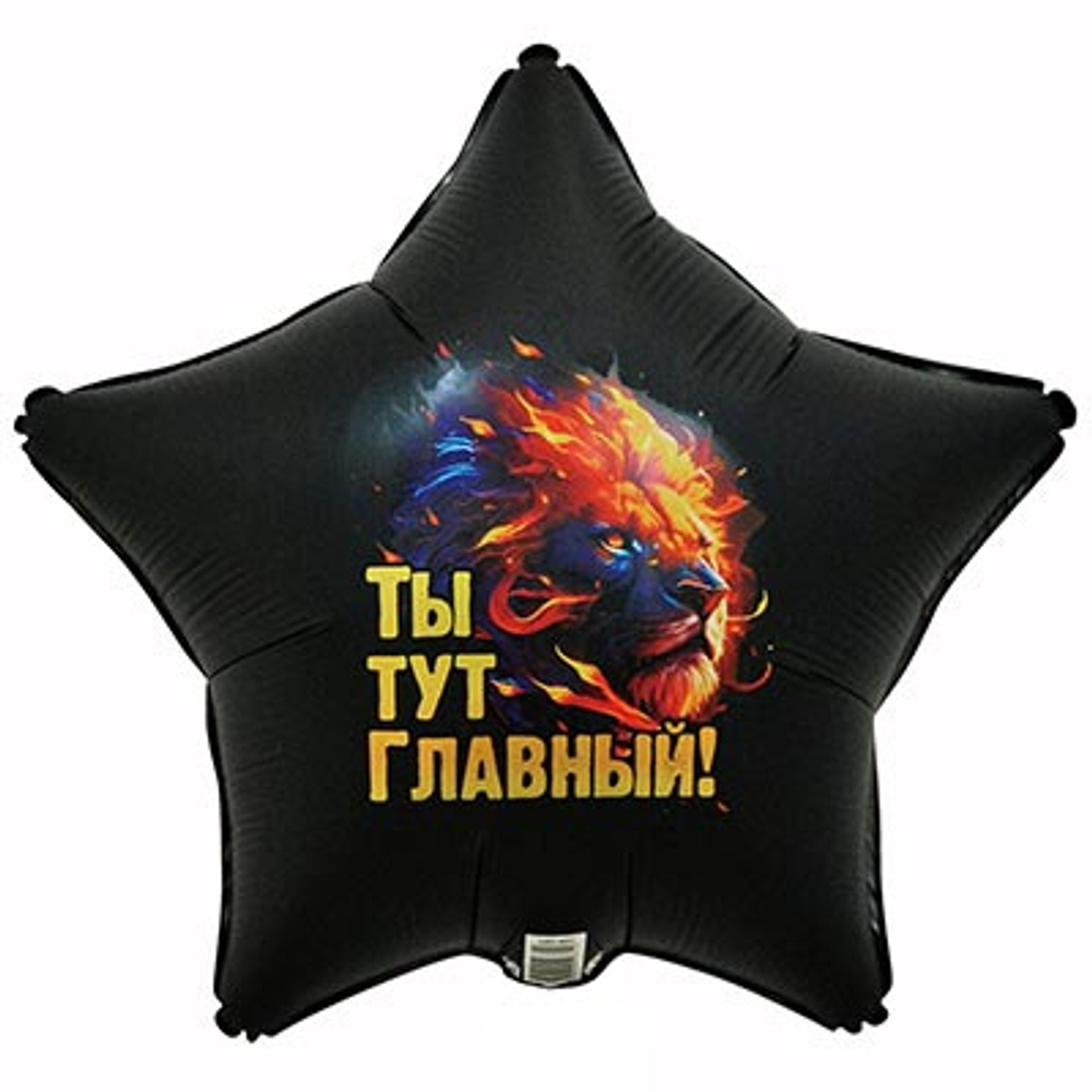 Шар 45см с гелием на грузе Ты тут главный