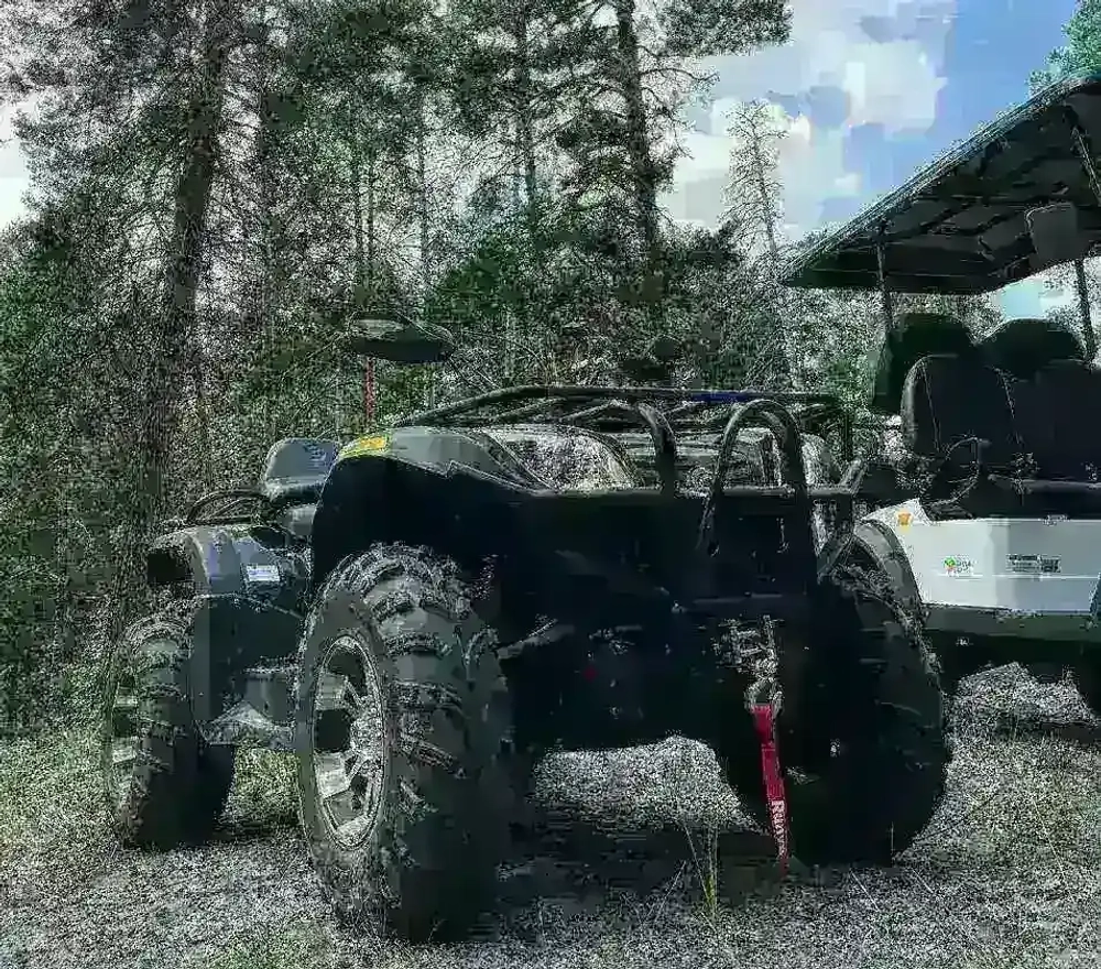 Электроквадроцикл Green Camel Сахара A14К 4x4 Monster (14kW 90 км/ч) блокировка