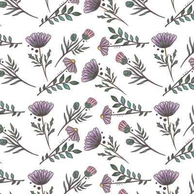 Wild flowers. Samples. White background. High quality illustration