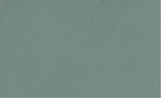 Велюр Tudor (LE) mint (Тудор минт)