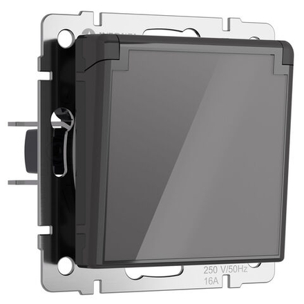 Розетка влагозащ. с зазем. с защит. крышкой и шторками (графит акрил)